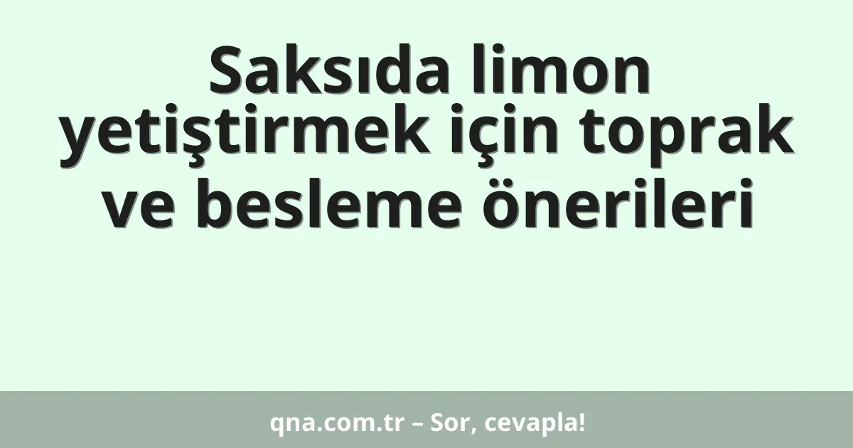 Saksıda limon yetiştirmek için toprak ve besleme önerileri