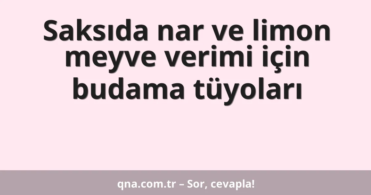 Saksıda nar ve limon meyve verimi için budama tüyoları