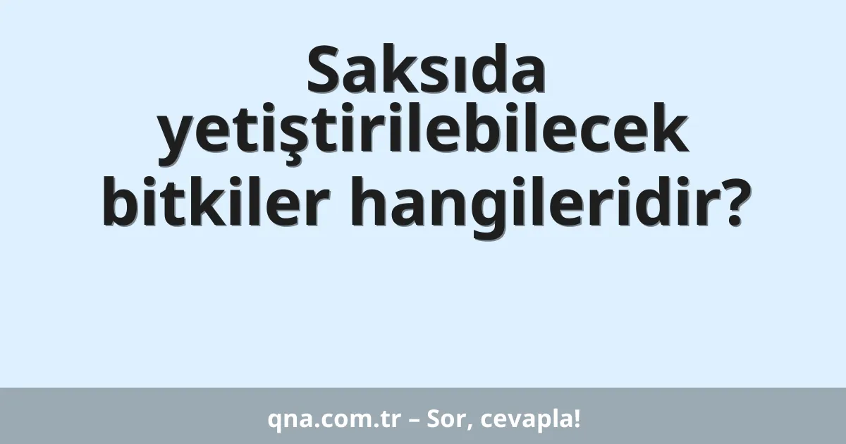 Saksıda yetiştirilebilecek bitkiler hangileridir?