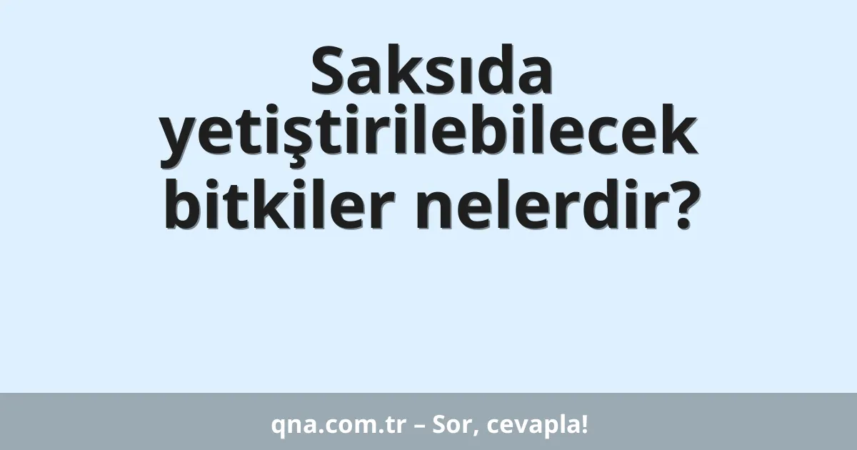 Saksıda yetiştirilebilecek bitkiler nelerdir?