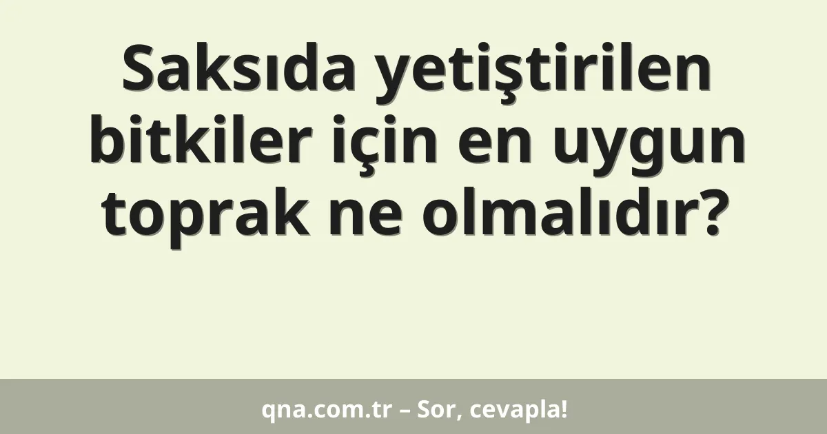 Saksıda yetiştirilen bitkiler için en uygun toprak ne olmalıdır?