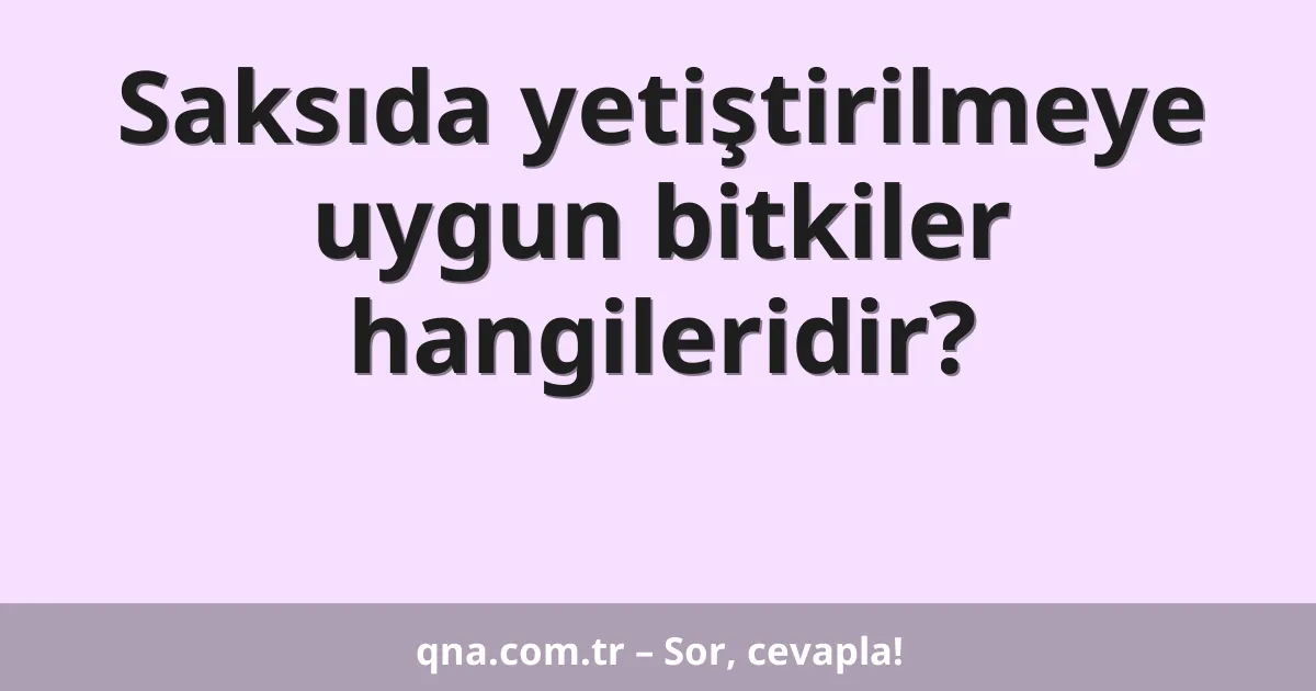 Saksıda yetiştirilmeye uygun bitkiler hangileridir?