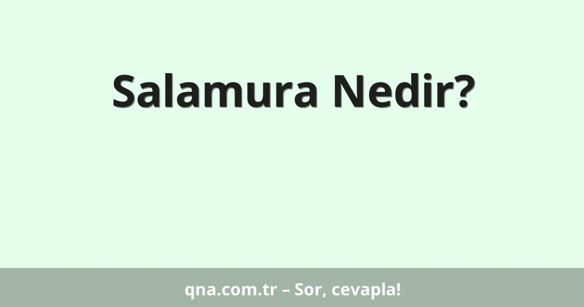 Salamura Nedir?