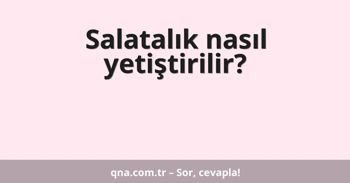 Salatalık nasıl yetiştirilir?