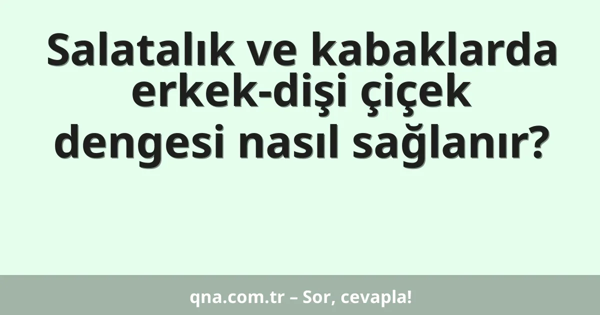 Salatalık ve kabaklarda erkek-dişi çiçek dengesi nasıl sağlanır?