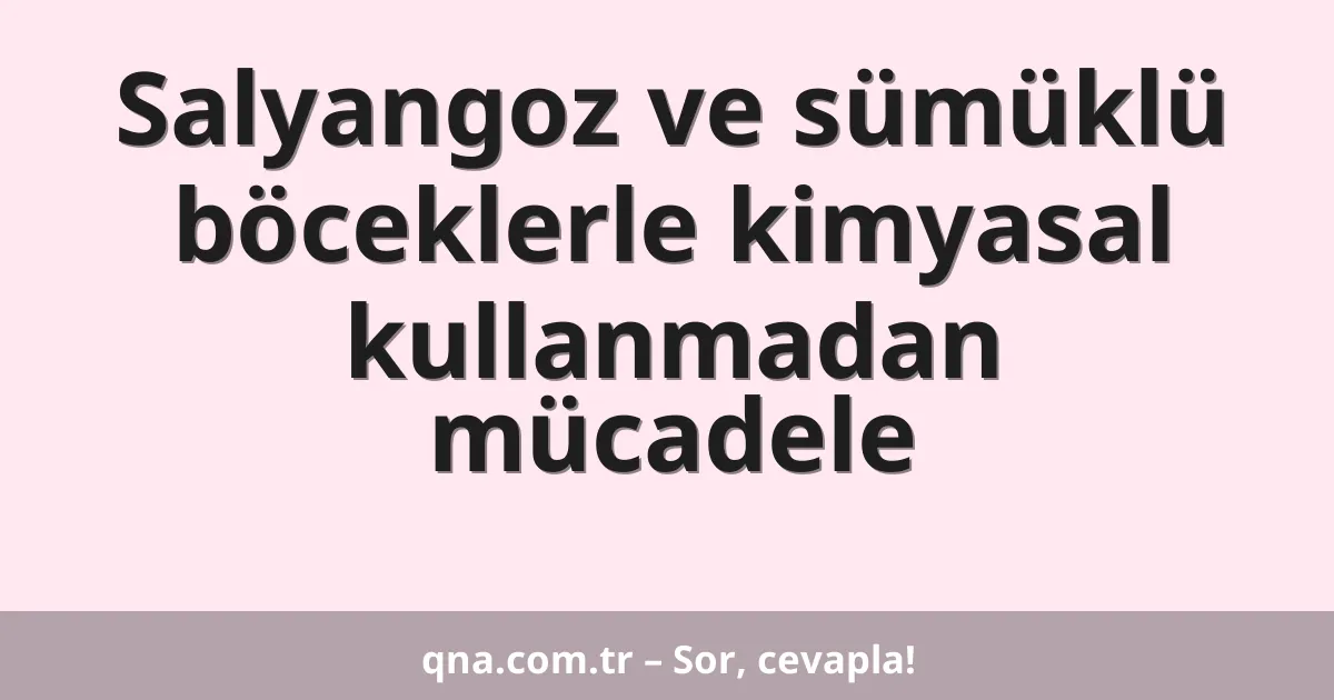 Salyangoz ve sümüklü böceklerle kimyasal kullanmadan mücadele