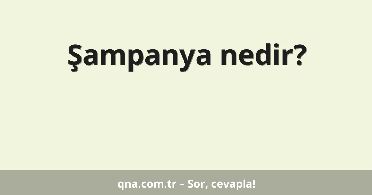 Şampanya nedir?