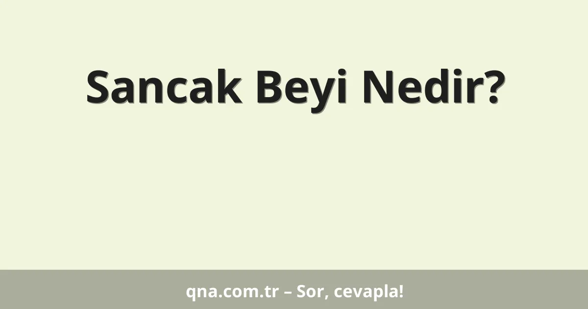 Sancak Beyi Nedir?
