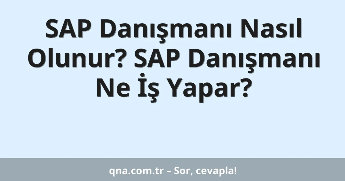 SAP Danışmanı Nasıl Olunur? SAP Danışmanı Ne İş Yapar?