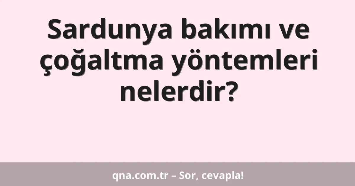 Sardunya bakımı ve çoğaltma yöntemleri nelerdir?