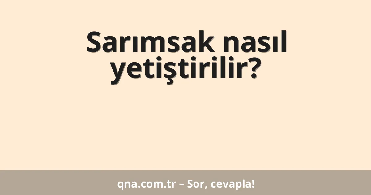 Sarımsak nasıl yetiştirilir?