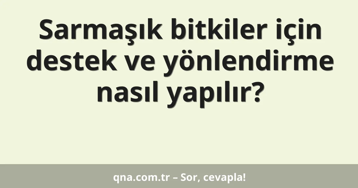 Sarmaşık bitkiler için destek ve yönlendirme nasıl yapılır?