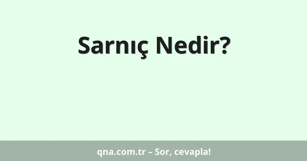 Sarnıç Nedir?