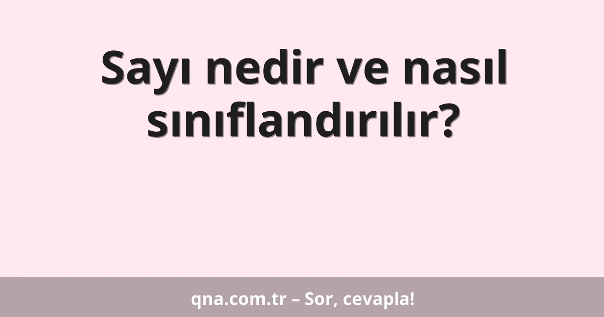 Sayı nedir ve nasıl sınıflandırılır?