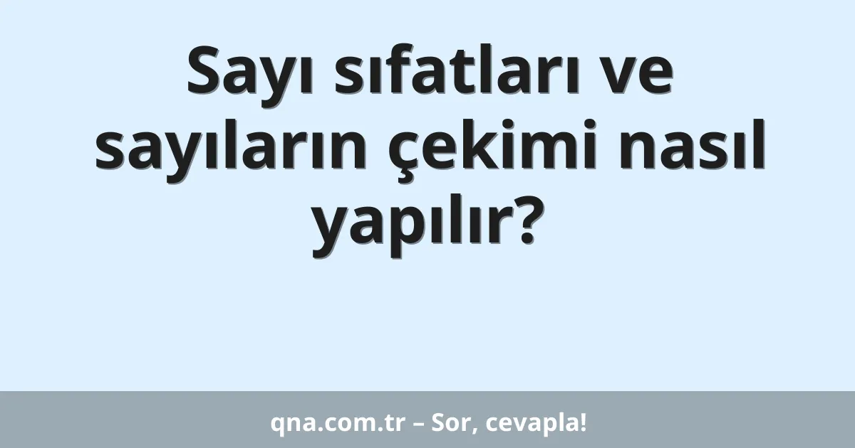 Sayı sıfatları ve sayıların çekimi nasıl yapılır?