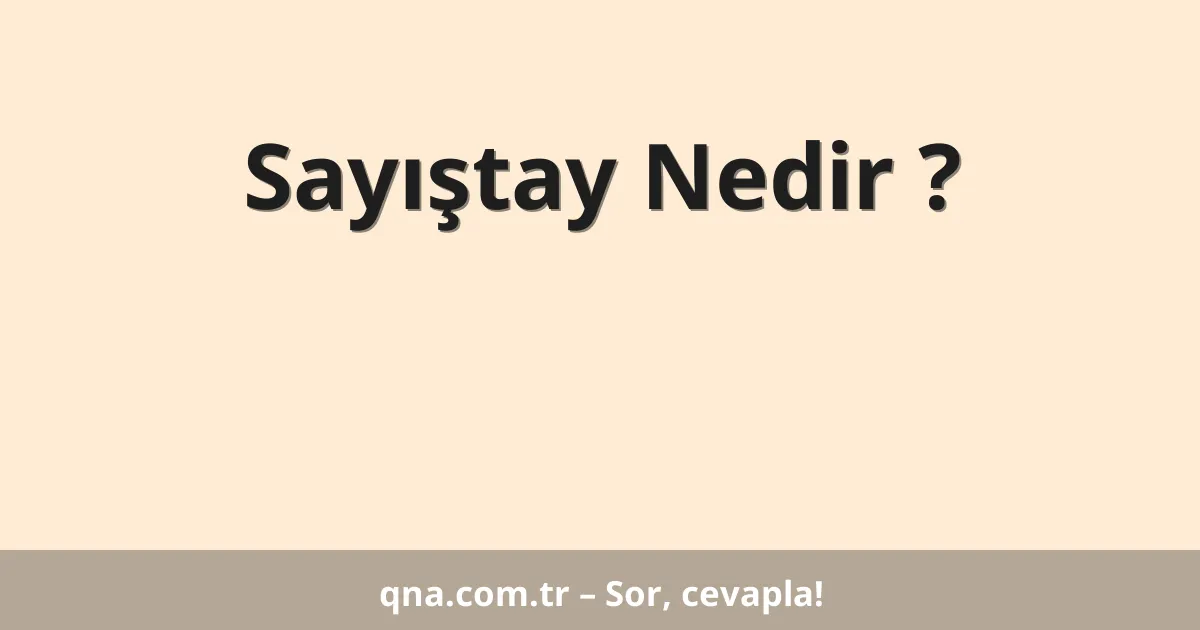 Sayıştay Nedir ?
