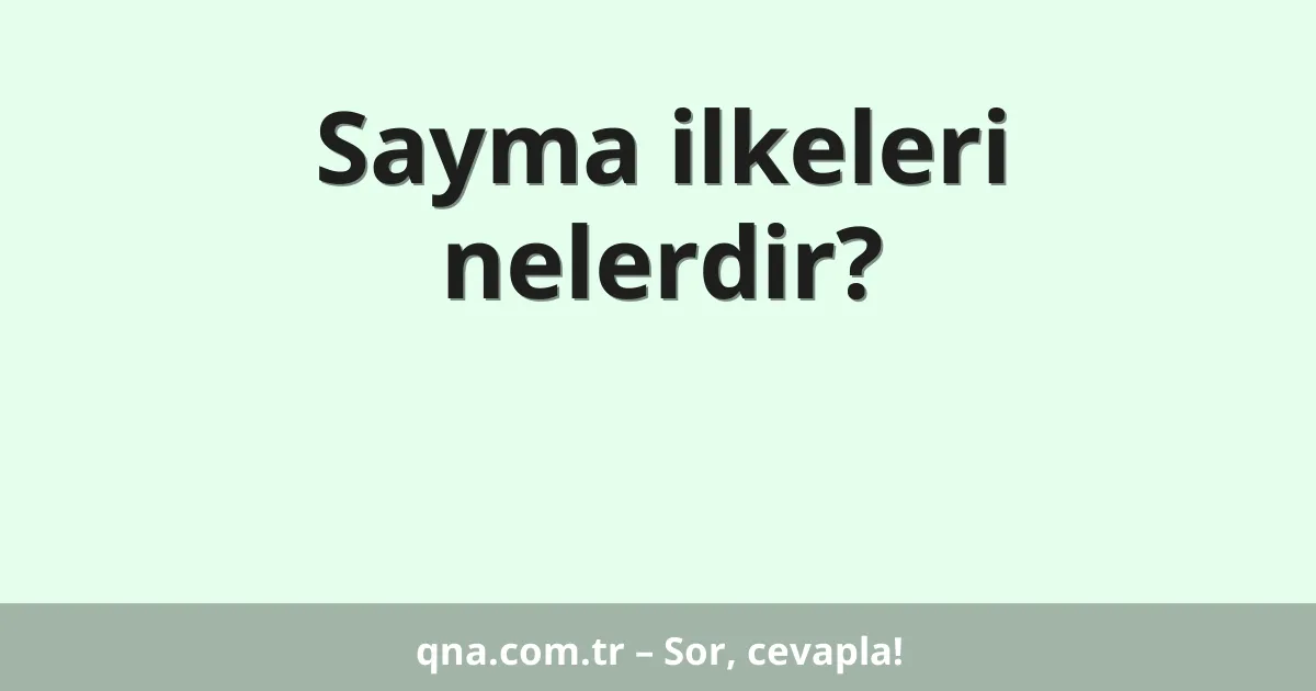 Sayma ilkeleri nelerdir?