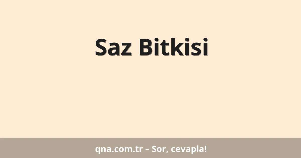 Saz Bitkisi