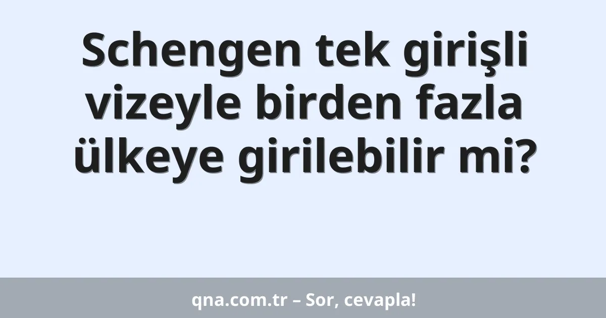 Schengen tek girişli vizeyle birden fazla ülkeye girilebilir mi?