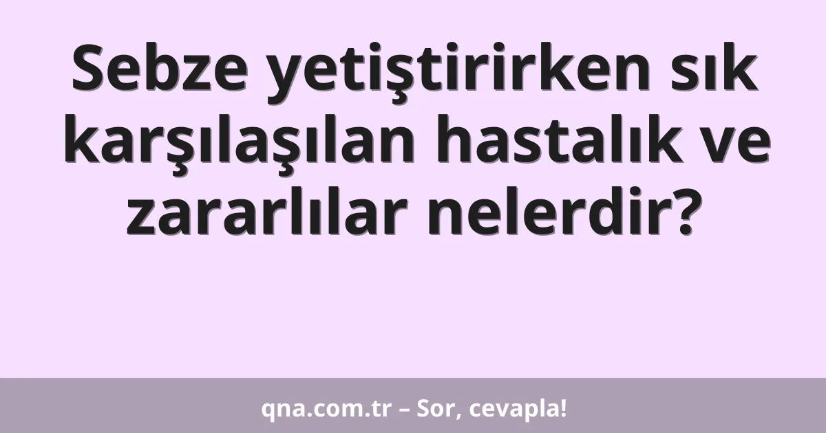 Sebze yetiştirirken sık karşılaşılan hastalık ve zararlılar nelerdir?