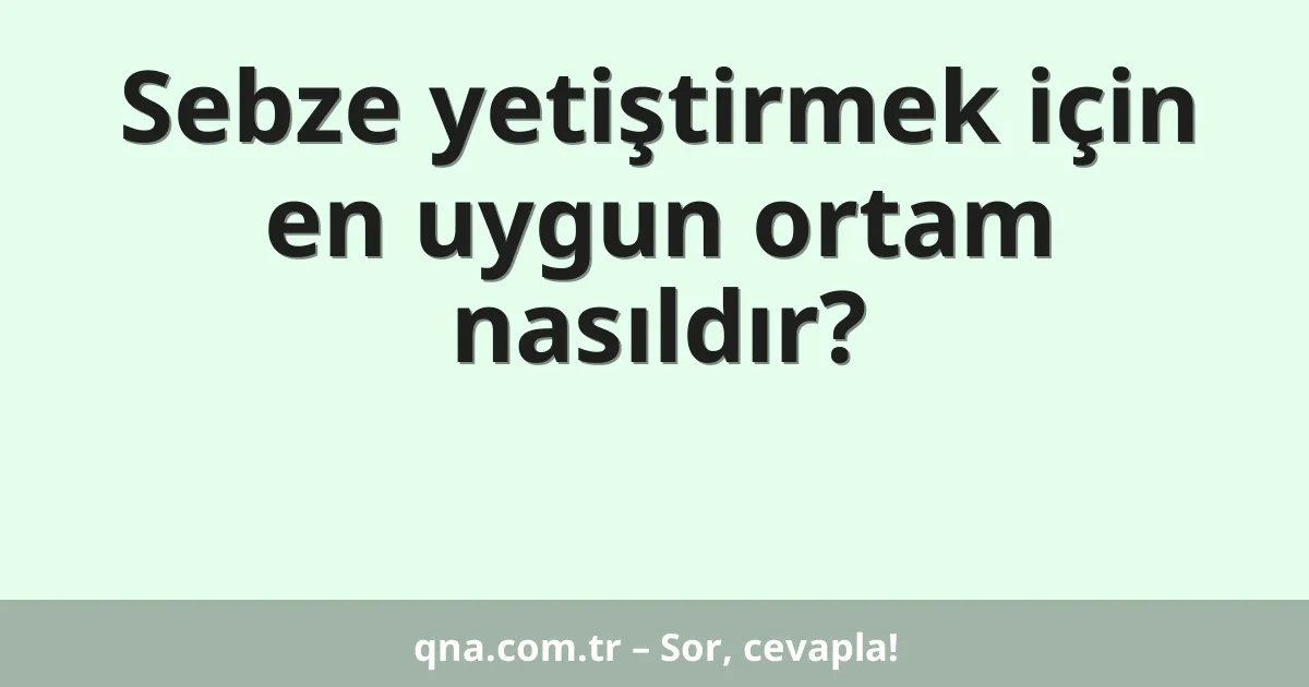Sebze yetiştirmek için en uygun ortam nasıldır?