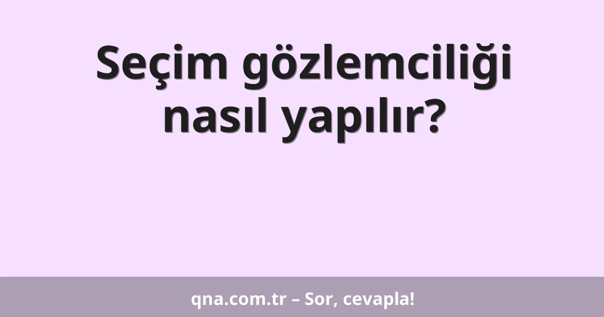 Seçim gözlemciliği nasıl yapılır?