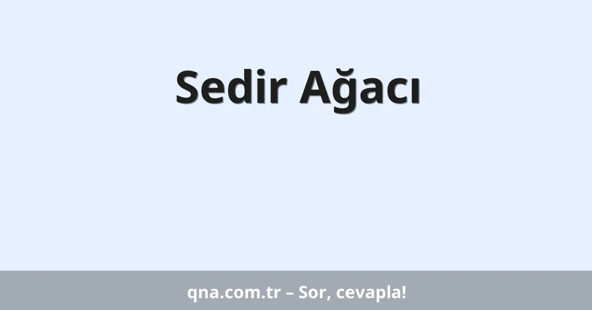 Sedir Ağacı