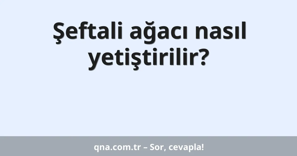 Şeftali ağacı nasıl yetiştirilir?