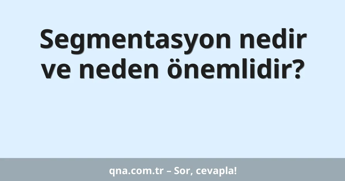 Segmentasyon nedir ve neden önemlidir?