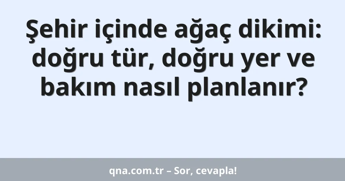 Şehir içinde ağaç dikimi: doğru tür, doğru yer ve bakım nasıl planlanır?