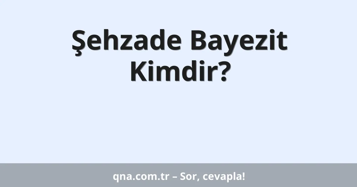 Şehzade Bayezit Kimdir?