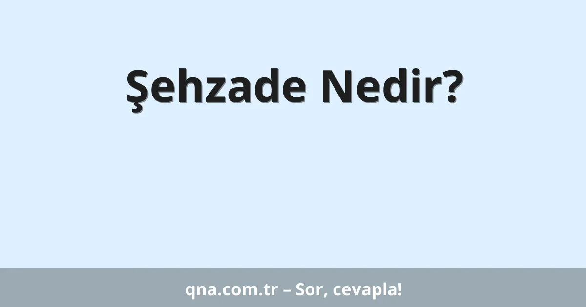 Şehzade Nedir?