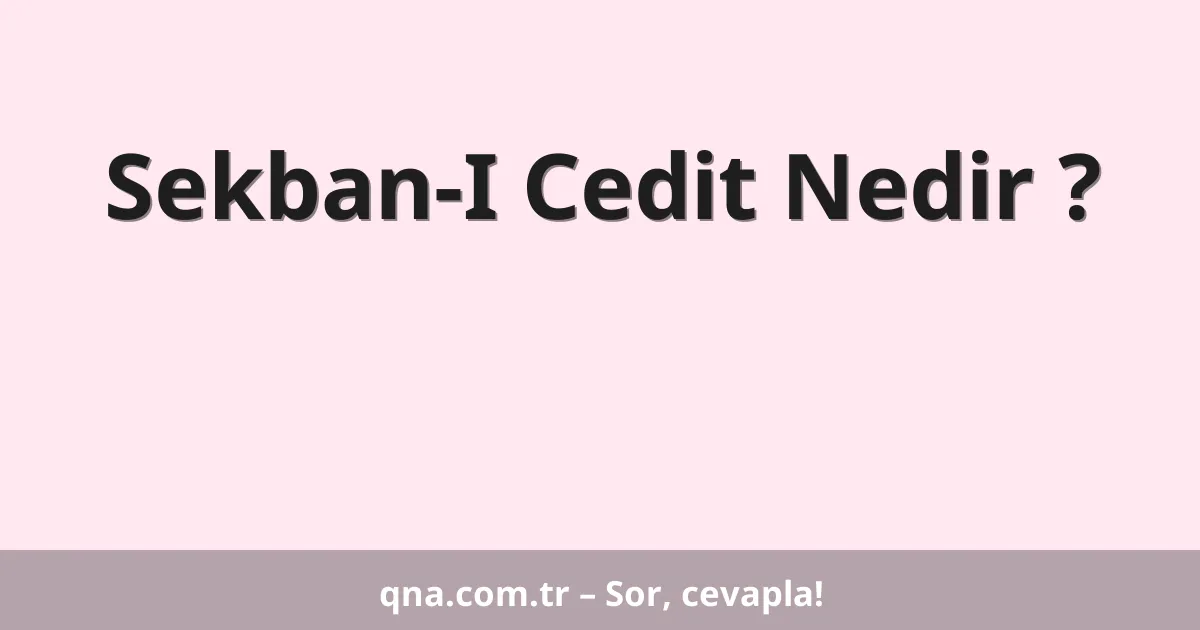 Sekban-I Cedit Nedir ?