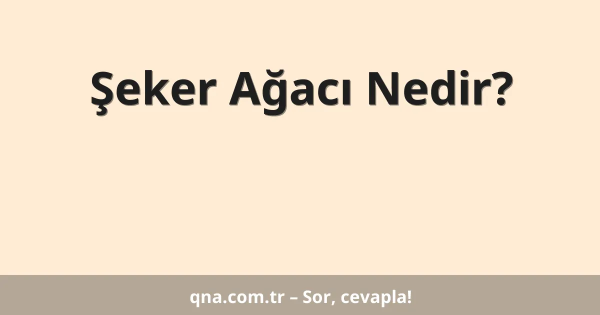 Şeker Ağacı Nedir?
