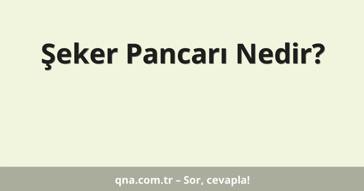 Şeker Pancarı Nedir?