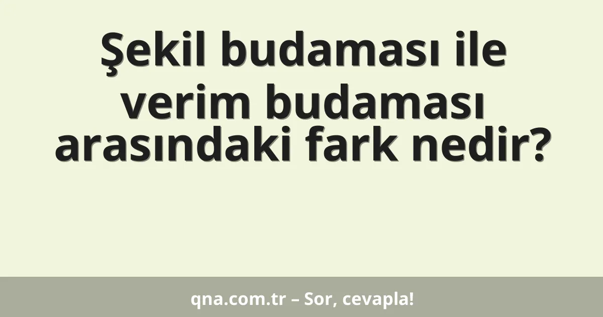Şekil budaması ile verim budaması arasındaki fark nedir?