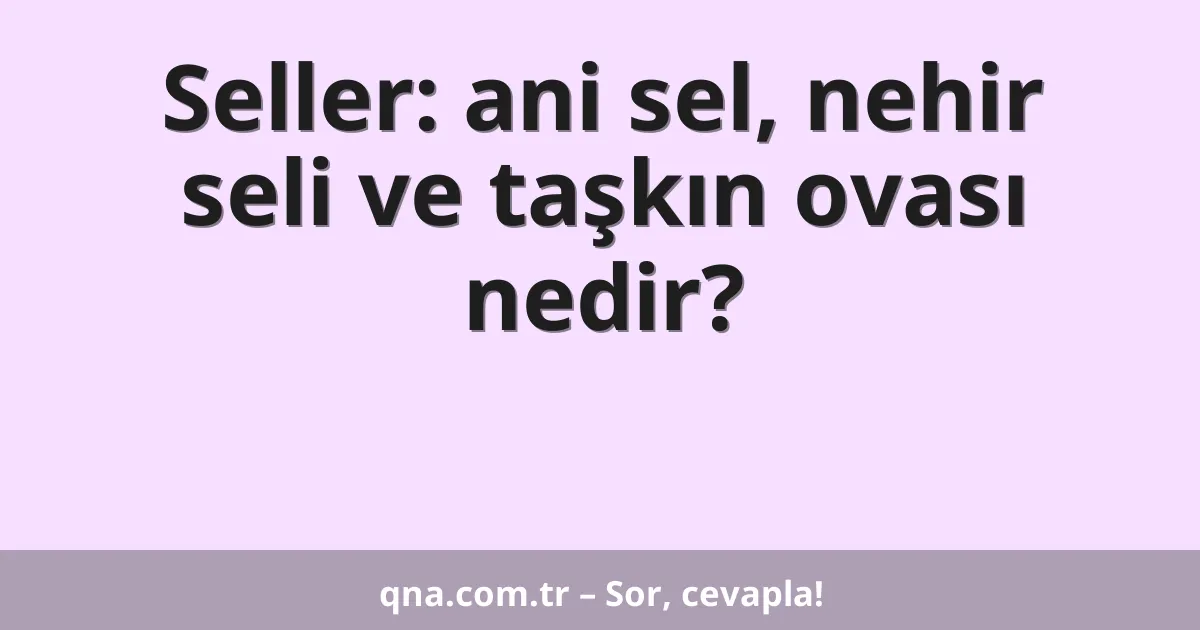 Seller: ani sel, nehir seli ve taşkın ovası nedir?