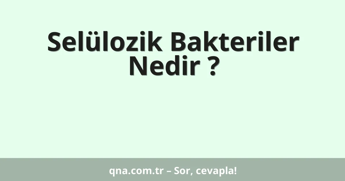 Selülozik Bakteriler Nedir ?