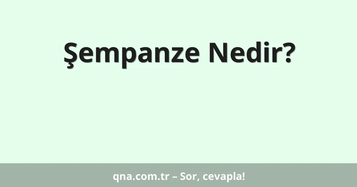 Şempanze Nedir?