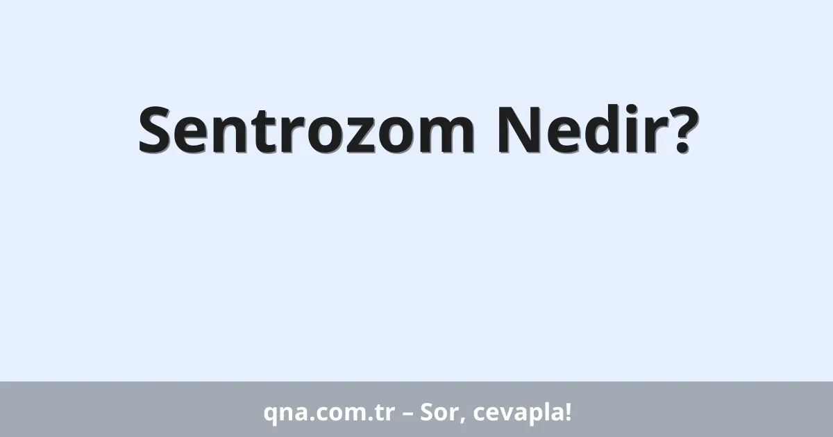 Sentrozom Nedir?