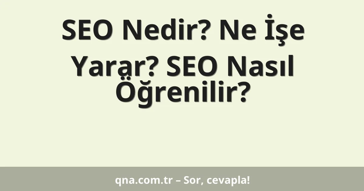 SEO Nedir? Ne İşe Yarar? SEO Nasıl Öğrenilir?