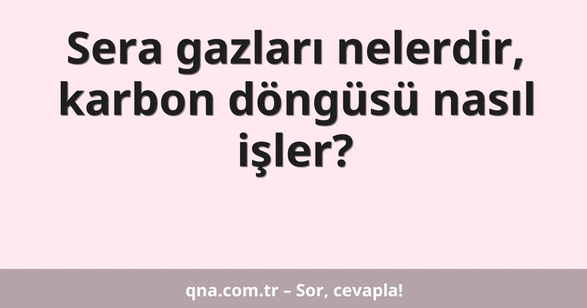 Sera gazları nelerdir, karbon döngüsü nasıl işler?