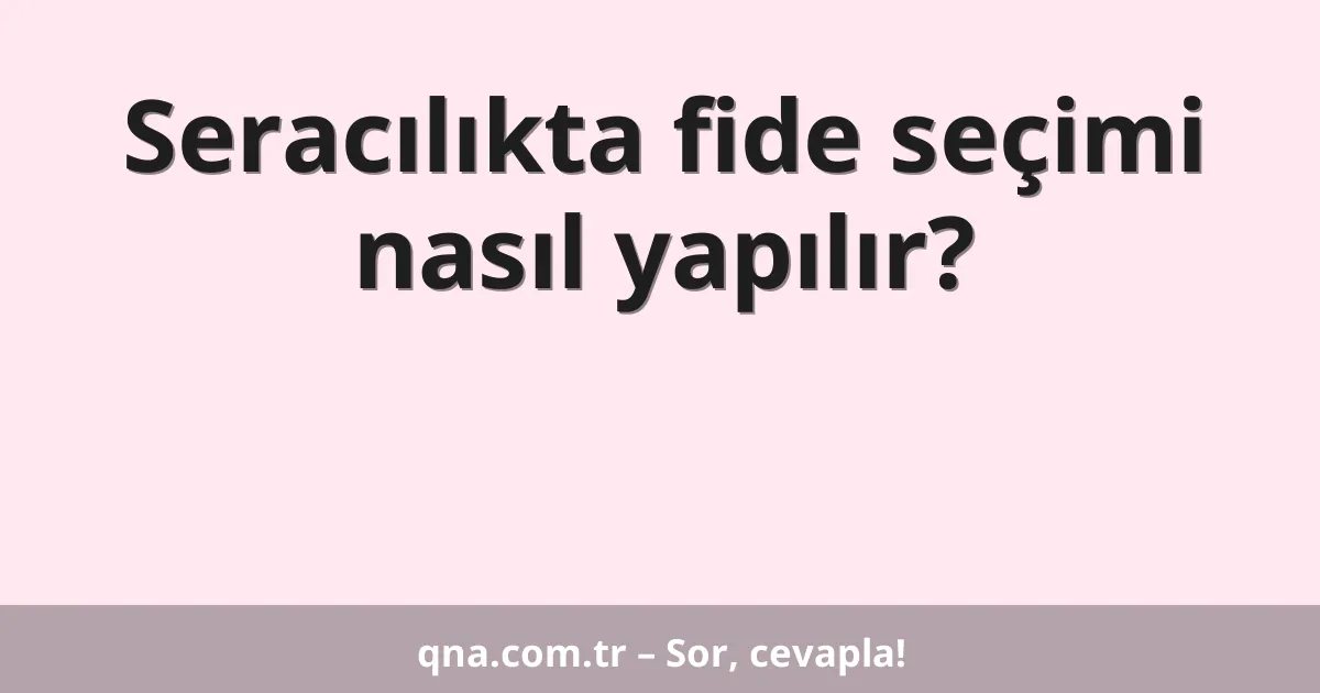 Seracılıkta fide seçimi nasıl yapılır?