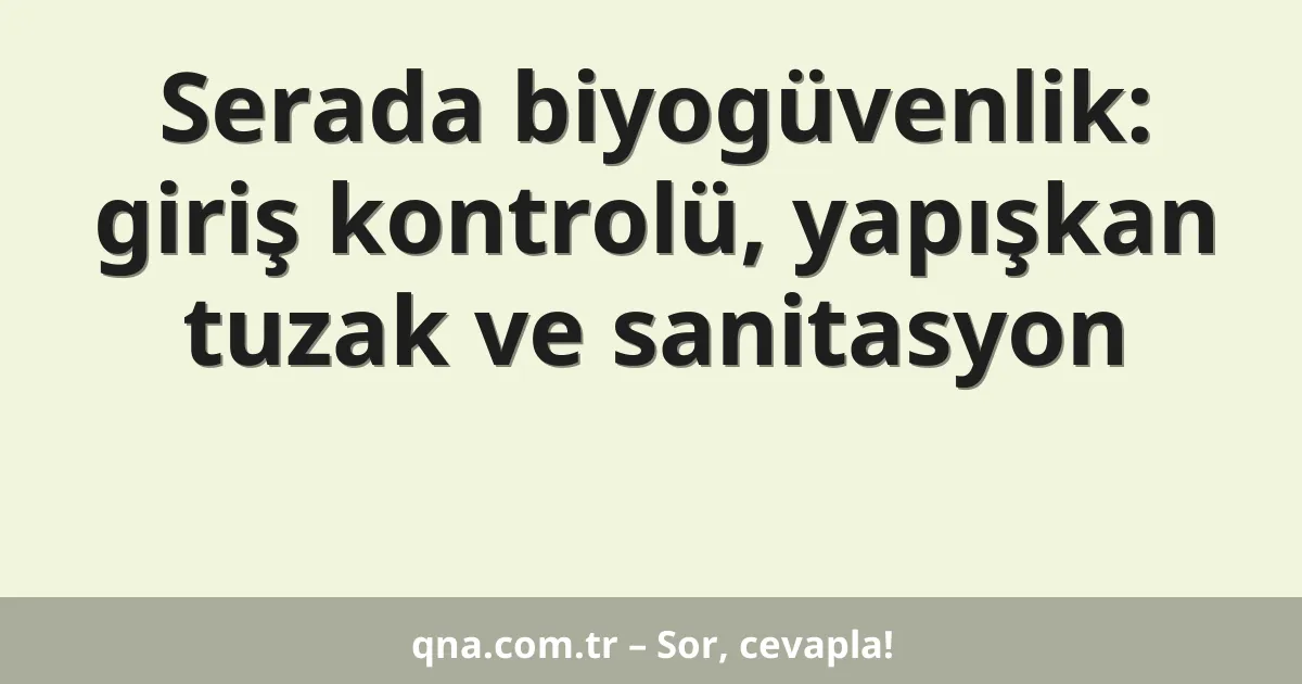 Serada biyogüvenlik: giriş kontrolü, yapışkan tuzak ve sanitasyon