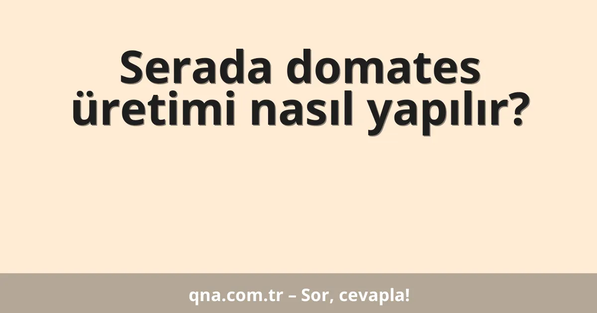 Serada domates üretimi nasıl yapılır?
