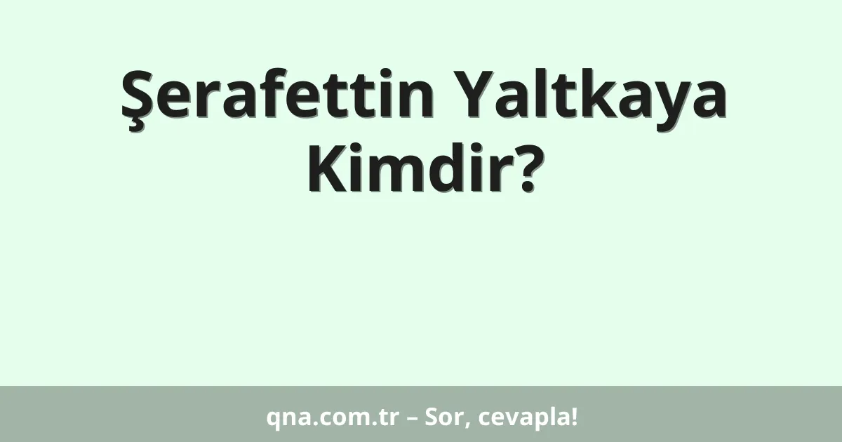 Şerafettin Yaltkaya Kimdir?