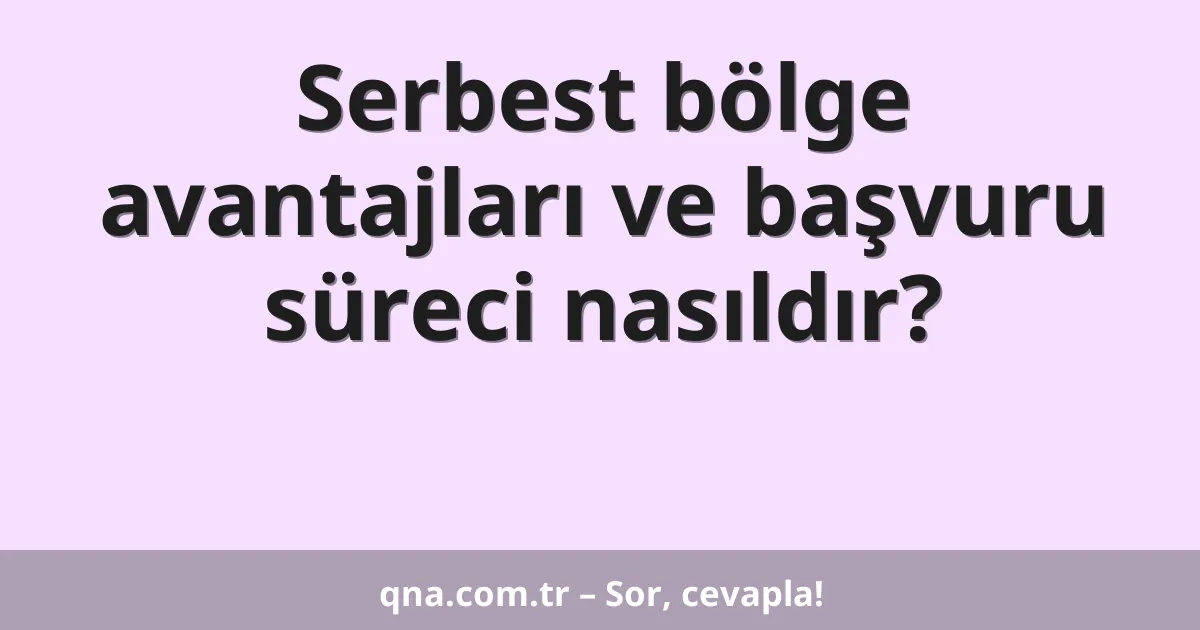 Serbest bölge avantajları ve başvuru süreci nasıldır?