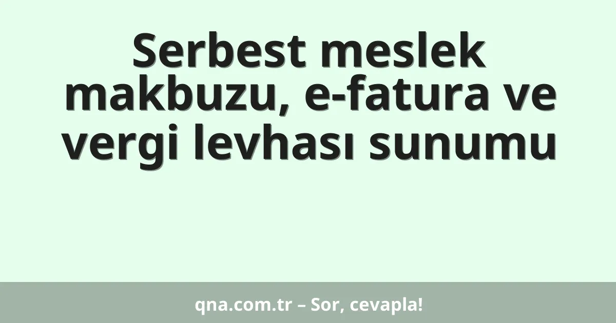 Serbest meslek makbuzu, e-fatura ve vergi levhası sunumu