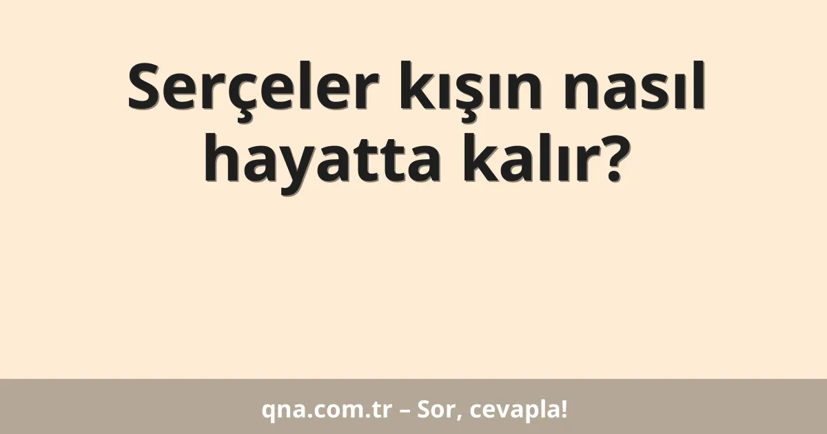 Serçeler kışın nasıl hayatta kalır?