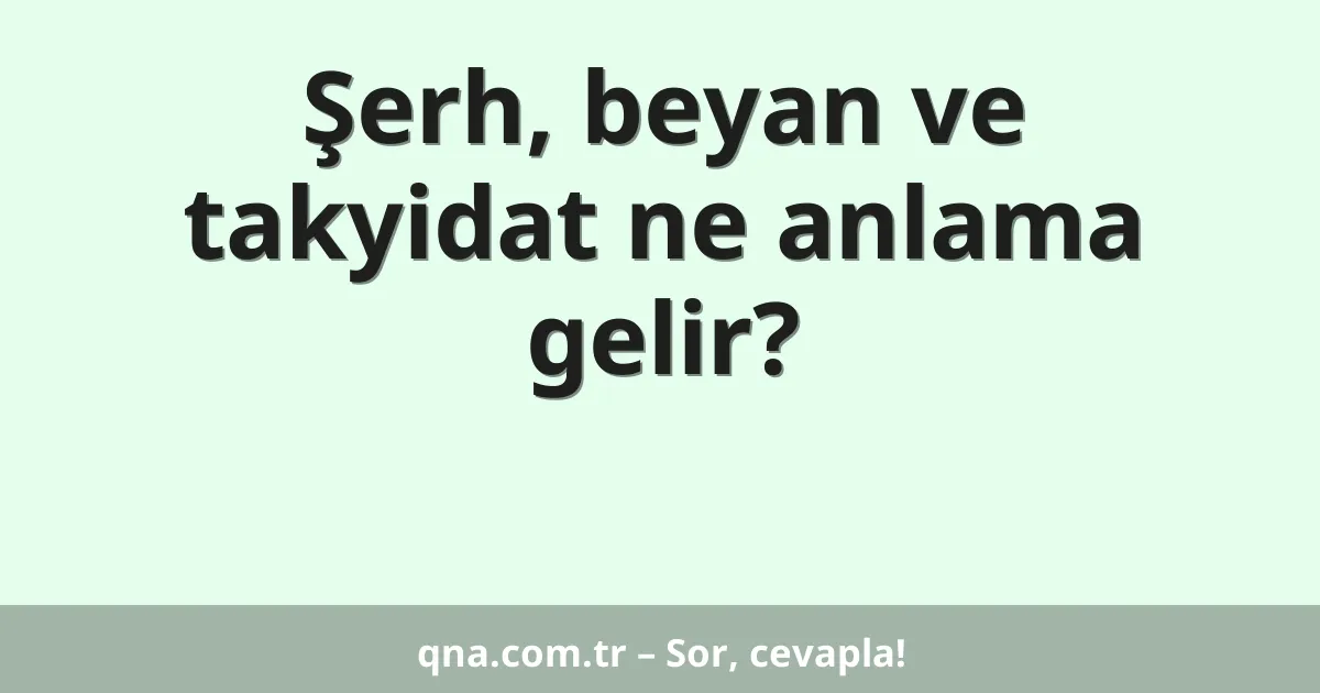 Şerh, beyan ve takyidat ne anlama gelir?